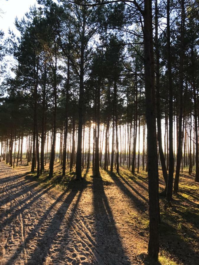 Vila Sosnowe Zacisze Sasino Exteriér fotografie
