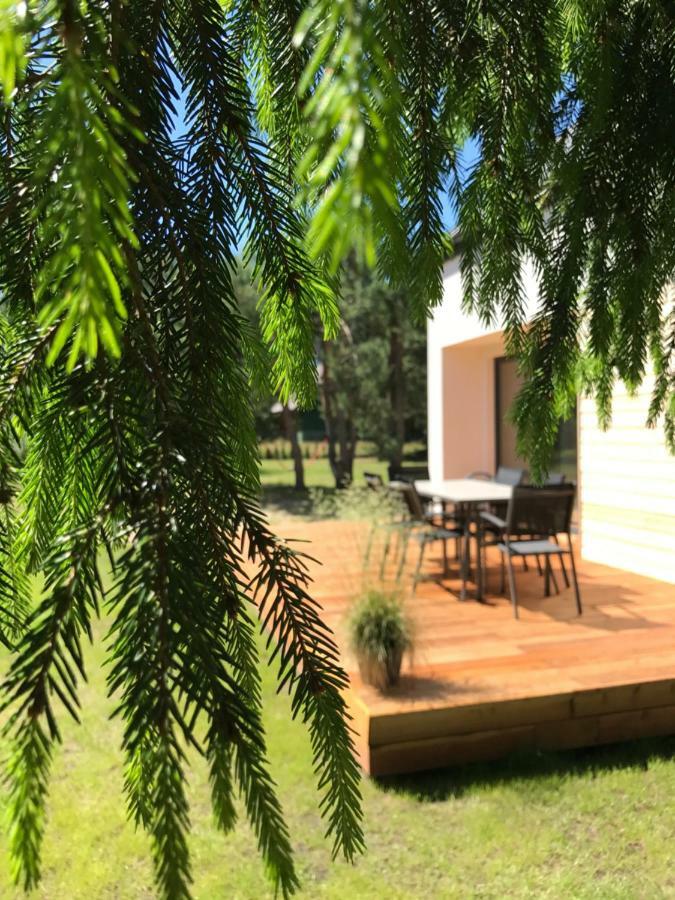 Vila Sosnowe Zacisze Sasino Exteriér fotografie